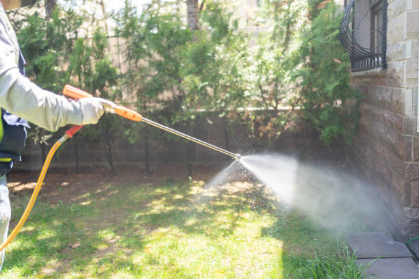 Best Insect Control  in Bellview, FL